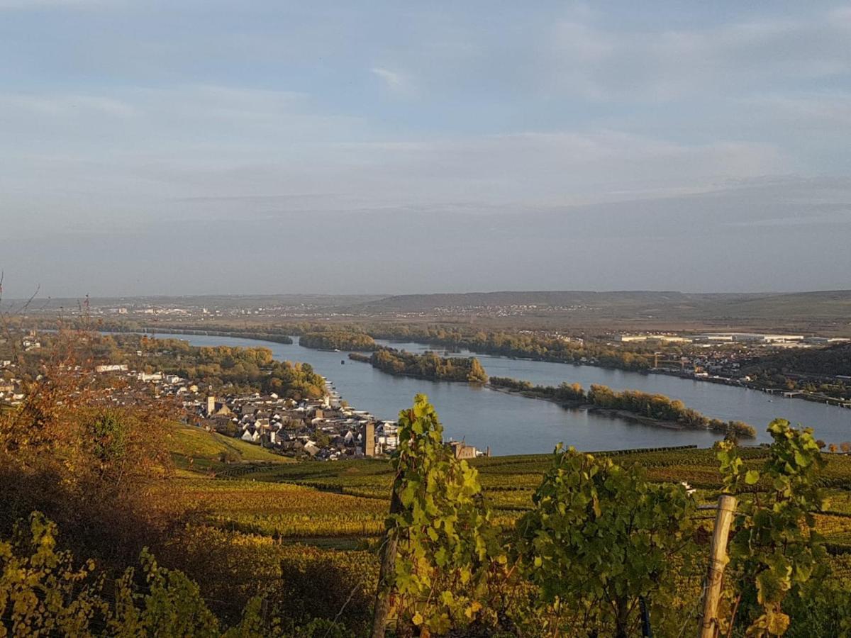 Rheingau Und Weltkulturerbe Mittelrheintal Erleben - Ferienappartement In Winkel Oestrich-Winkel Ngoại thất bức ảnh