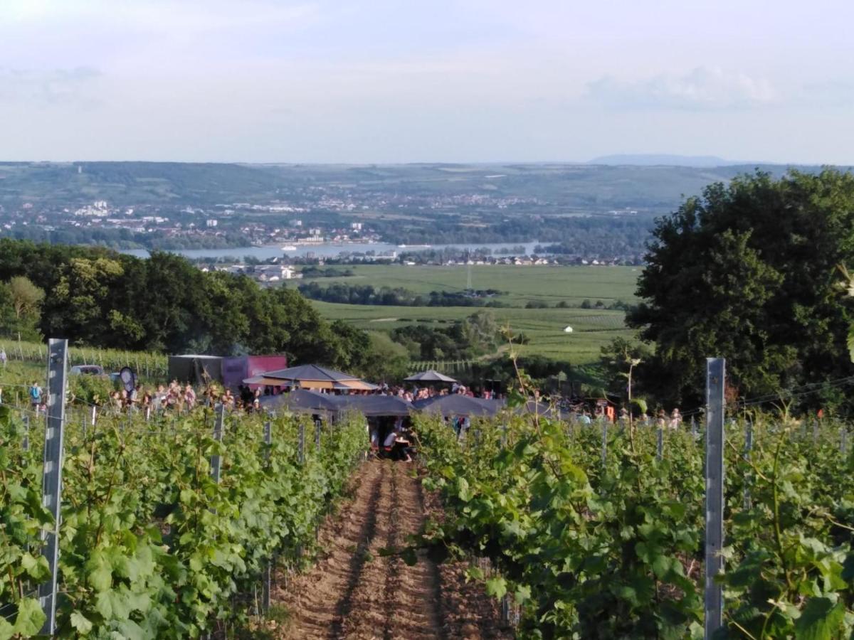 Rheingau Und Weltkulturerbe Mittelrheintal Erleben - Ferienappartement In Winkel Oestrich-Winkel Ngoại thất bức ảnh